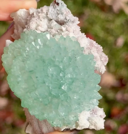 Green India Apophylite flower