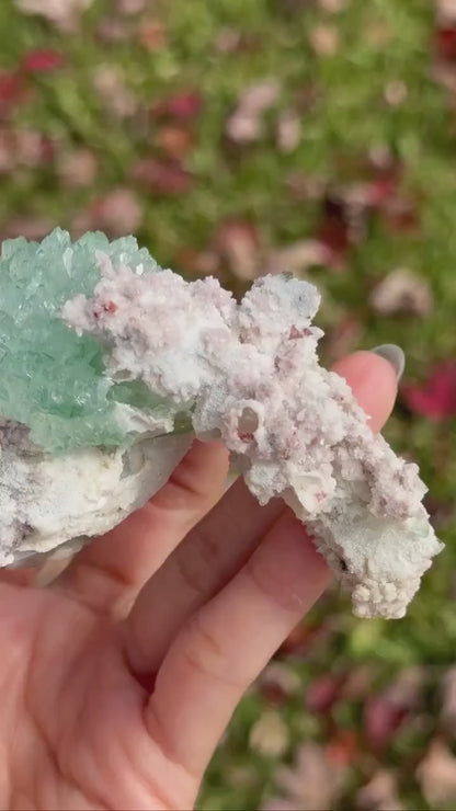 Green India Apophylite flower